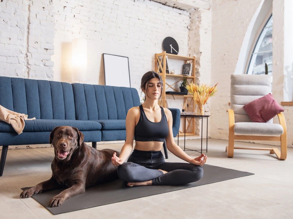 Doga: The Global Healing Trend Strengthening the Bond Between Humans and Hounds 狗狗瑜伽2